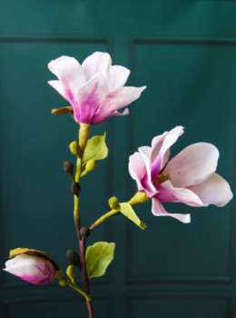 Œuvre contemporaine nommée « Branche de magnolia », Réalisée par KAMILLA