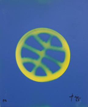 Œuvre contemporaine nommée « Balón de baloncesto », Réalisée par XAQUIN NOCHE