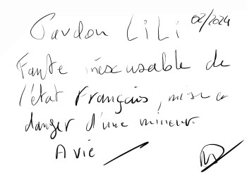 Œuvre contemporaine nommée « LiLi », Réalisée par NICOLAS D