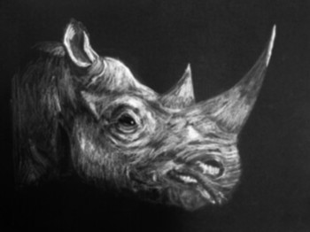 Œuvre contemporaine nommée « Rhinocéros », Réalisée par EG