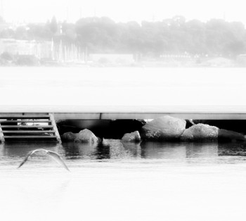 Œuvre contemporaine nommée « Vole de mouette au dessus de l'étang. III », Réalisée par MARION BORELLE