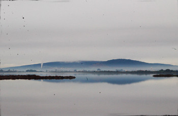 Brume sur l'étang Sur le site d’ARTactif