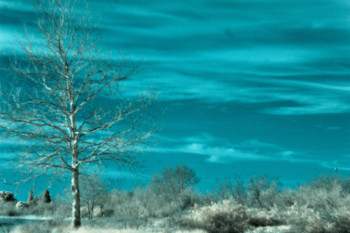 Œuvre contemporaine nommée « Paysage bleu », Réalisée par MARION BORELLE
