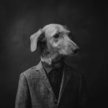 Œuvre contemporaine nommée « The dog man », Réalisée par MIGUEL DUVIVIER