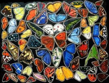 Œuvre contemporaine nommée « Papillons », Réalisée par CHLOé YZOARD