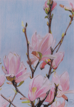 Œuvre contemporaine nommée « Magnolia ... le printemps est là. », Réalisée par PIRDESSINS