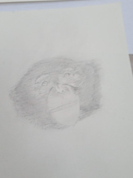Œuvre contemporaine nommée « Gorille », Réalisée par MILA