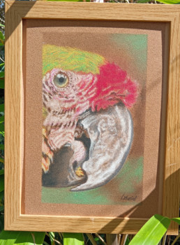 Œuvre contemporaine nommée « The ''parrot '' », Réalisée par MURIEL.ART37