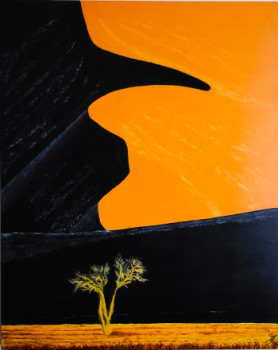 Œuvre contemporaine nommée « Setting sun over the Namibian desert », Réalisée par STEFAN