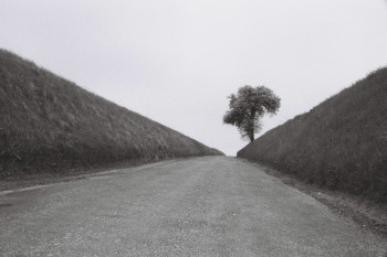 Œuvre contemporaine nommée « Le chemin », Réalisée par ALINE TAIEB