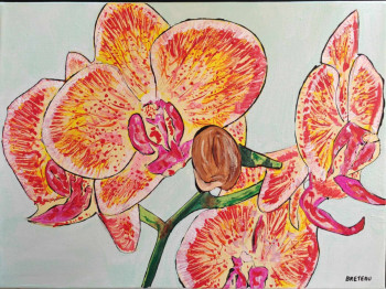 Œuvre contemporaine nommée « Orchidée », Réalisée par ZABOUGNE