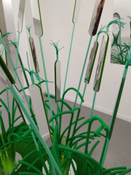 Œuvre contemporaine nommée « Nature reflechissante », Réalisée par CHRISTOPHE DALECKI
