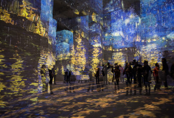 Œuvre contemporaine nommée « Van Gogh, photographie spectacle immersif (ref 80883) », Réalisée par VENTURELLI