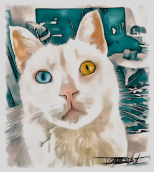 Œuvre contemporaine nommée « mon chat litchi », Réalisée par DOMINIQUE DULOT DIGITAL