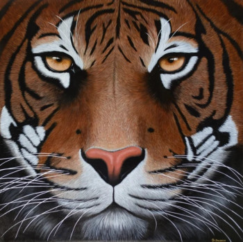 Œuvre contemporaine nommée « Tigre », Réalisée par SANDRA SALDAñA