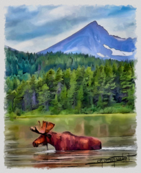 Œuvre contemporaine nommée « paysage canadien », Réalisée par DOMINIQUE DULOT DIGITAL