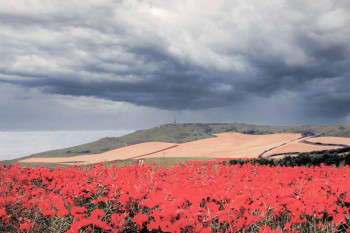 Œuvre contemporaine nommée « Gentils Coquelicots sous le ciel du BLANC NEZ », Réalisée par CATOPALE