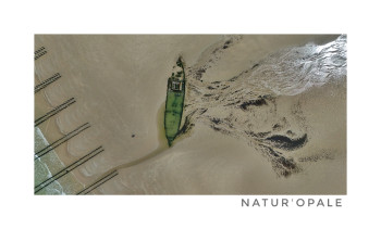 Œuvre contemporaine nommée « Le Lord Grey dans la marée », Réalisée par NATUR'OPALE
