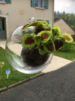 Œuvre contemporaine nommée « Suspensions florales », Réalisée par ANGELINE DISSOUBRAY LE VERRE AU PLUS PROCHE DE VOTRE NATURE