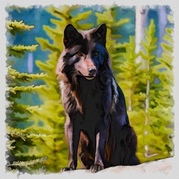 Œuvre contemporaine nommée « loup alpha noir », Réalisée par DOMINIQUE DULOT DIGITAL
