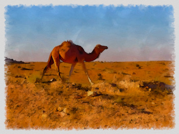 Œuvre contemporaine nommée « dromadaire en Tunisie », Réalisée par DOMINIQUE DULOT DIGITAL