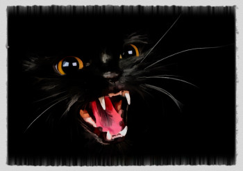 Œuvre contemporaine nommée « black cat », Réalisée par DOMINIQUE DULOT DIGITAL