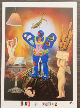 Œuvre contemporaine nommée « Niki et Venus », Réalisée par ASSEMBLAGES VISUELS