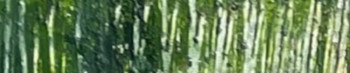 Œuvre contemporaine nommée « Garden - Hommage an Gerard Richter », Réalisée par JANE MARIA XAVIER