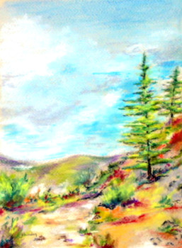 Œuvre contemporaine nommée « Col du Pas ( Cévennes) », Réalisée par JJOURDAN