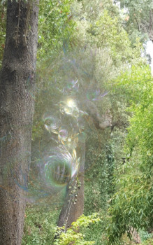 Œuvre contemporaine nommée « La vie de l'Hêtre », Réalisée par VERO JAQUES