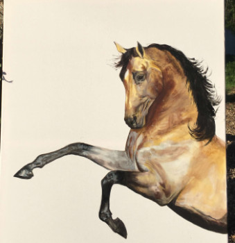 Œuvre contemporaine nommée « Cabré cheval pure race espagnole », Réalisée par ANNABEL LABATIE