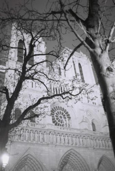Œuvre contemporaine nommée « Façade parvis Notre-Dame (avec arbres) », Réalisée par SARCIE