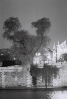 Œuvre contemporaine nommée « Arrière Notre-Dame, ile de la Cité et 'arbre fantome' », Réalisée par SARCIE