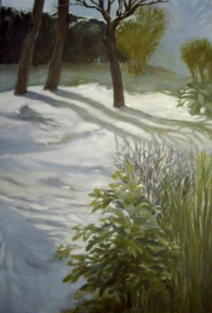 Œuvre contemporaine nommée « Jardin sous la neige st pol 2007 », Réalisée par ALAIN DIMPRE