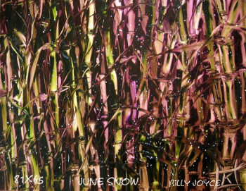 Œuvre contemporaine nommée « june snow », Réalisée par BJK