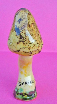 Œuvre contemporaine nommée « Champignon Hygrophorus blond », Réalisée par ROBERT DANIEL SYRIEX