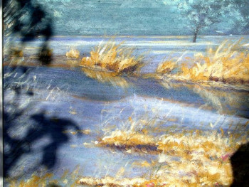 Œuvre contemporaine nommée « étang gelé  », Réalisée par RAYMOND BOURMAULT