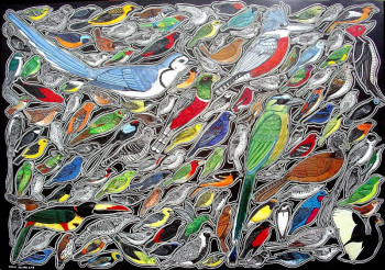 Œuvre contemporaine nommée « Avifaune du Costa Rica », Réalisée par CHLOé YZOARD