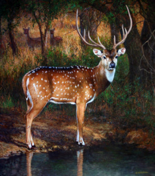 Œuvre contemporaine nommée «  	Axis deer », Réalisée par GABRIEL HERMIDA