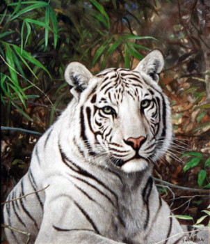Œuvre contemporaine nommée « White Tiger », Réalisée par GABRIEL HERMIDA