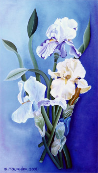 Œuvre contemporaine nommée « Les iris nus », Réalisée par ABERNARDO