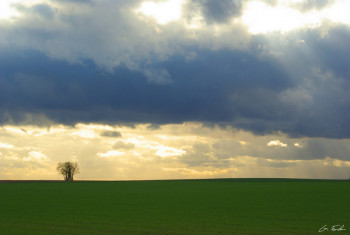 Œuvre contemporaine nommée « Paysage champêtre 5 », Réalisée par GRéGORY FOULON