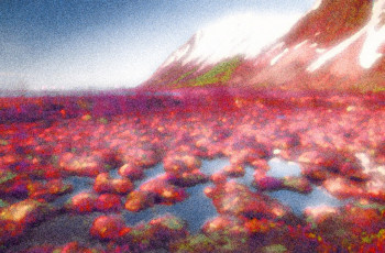 Œuvre contemporaine nommée « red mountain », Réalisée par FABRICE MILOCHAU