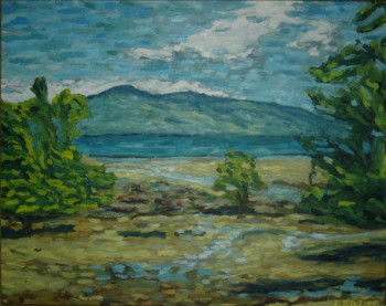 Œuvre contemporaine nommée « La mangrove, Madagascar », Réalisée par ALFREDO