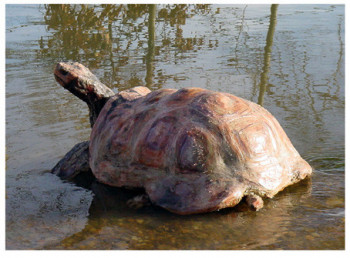 Œuvre contemporaine nommée « Tortue 2 », Réalisée par JOANNA HAIR