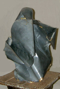 Œuvre contemporaine nommée « Wings Folding », Réalisée par ADRIENNE JALBERT