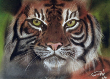 Œuvre contemporaine nommée « tiger », Réalisée par LAMINE REGGAD