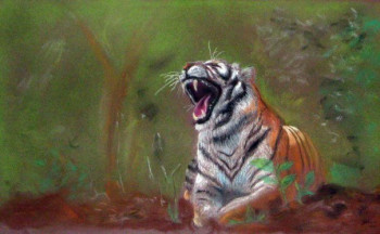Œuvre contemporaine nommée « tiger in the jungle », Réalisée par LAMINE REGGAD