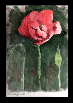Œuvre contemporaine nommée « coquelicot », Réalisée par LAMINE REGGAD