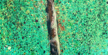 Œuvre contemporaine nommée « foret 101 », Réalisée par AQUARELLUS